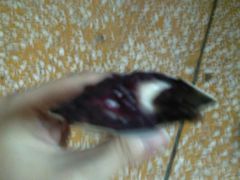 -麦当劳(温州人民路店)