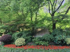 -杭州半山国家森林公园