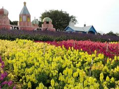 -松山湖梦幻百花洲