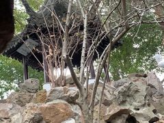 -西园戒幢律寺