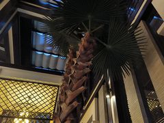 -浅深(天桥店)