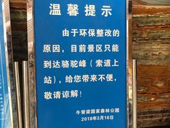 -牛背梁国家森林公园