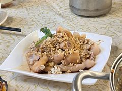 -百利鸽王(紫薇路店)