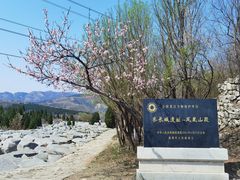 -原山国家森林公园