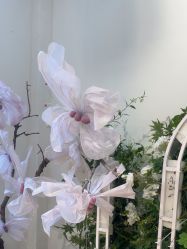 -爱儿美儿童摄影(奥森公园店)