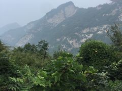-少华山国家森林公园