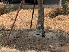 -上海青龙寺