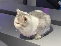 -极木²邸 人与宠物·互动社区