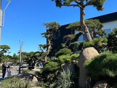 -罗红摄影艺术馆