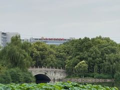 -成都南湖公园