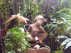 IMG_20141112_141231-自然餐厅(Phuket)