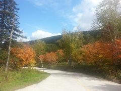 android_upload_pic-凤凰山国家森林公园