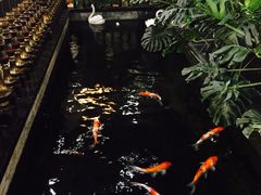 -福禧酒窖·中餐厅 (万柳店)