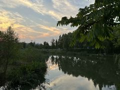 -贡湖湾湿地公园