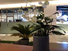 -游You House(西单老佛爷店)