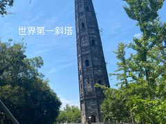 -上海佘山国家森林公园天马山园