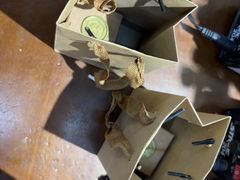 -十八字金银饰·拼豆·开蚌手工体验团建(君太百货店)