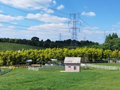 -紫颐香薰山谷景区