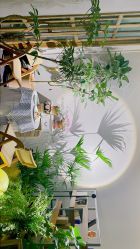 -芳香乐府疗愈空间·SPA·冥想