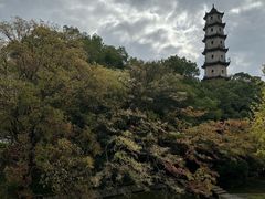 -江心屿景区