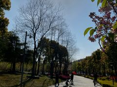 -南翔镇银翔湖公园