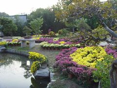 -石家庄市植物园