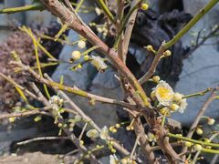 -钰园(水绘园店)