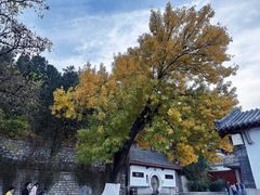-千佛山风景名胜区