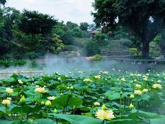 -广州莲花山旅游区