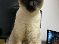 -佳雯宠物医院(四明中路分院)