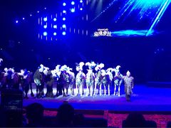 -珠海横琴长隆《卡卡虎奇遇记》