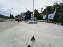 -图们国门景区