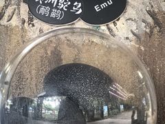 -广州长隆飞鸟乐园