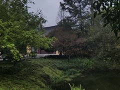 -慧因高丽寺