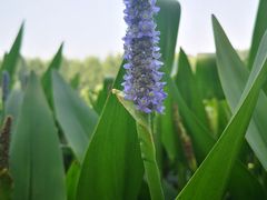 -渭南桃花源民俗文化园