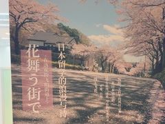 -樱花国际日语(人广中心)