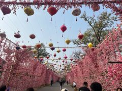 -北京凤凰岭