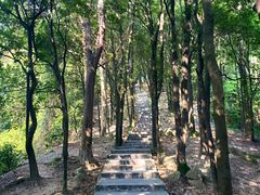 -火炉山森林公园