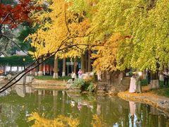 -温江公园