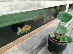 -那家小馆•北京菜•烤鸭(香山店)