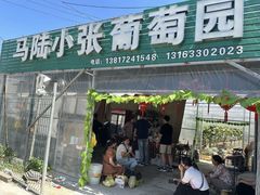 -马陆小张葡萄园农家乐