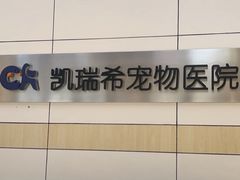 -凯瑞希宠物医院·狂犬免疫·微创·皮肤科