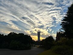 -上海滨江森林公园