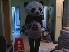 -熊猫不走蛋糕（同城送）(长沙店)