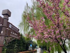 -西安汉城湖景区