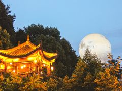 -巴倒烫陆派重庆火锅(南山店)