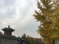 -李小老烧饼(常营民族家园店)