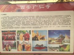 -骏途旅游