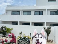-海岛日记(养马岛店)