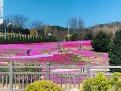 -棒棰岛宾馆景区
